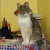 Отзыв от Эмма Емельянова